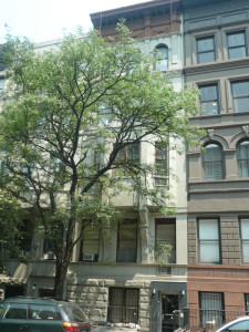 141 West 75th Street