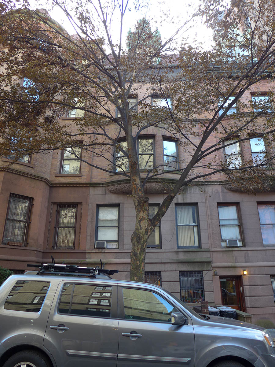 310 West 77th Street